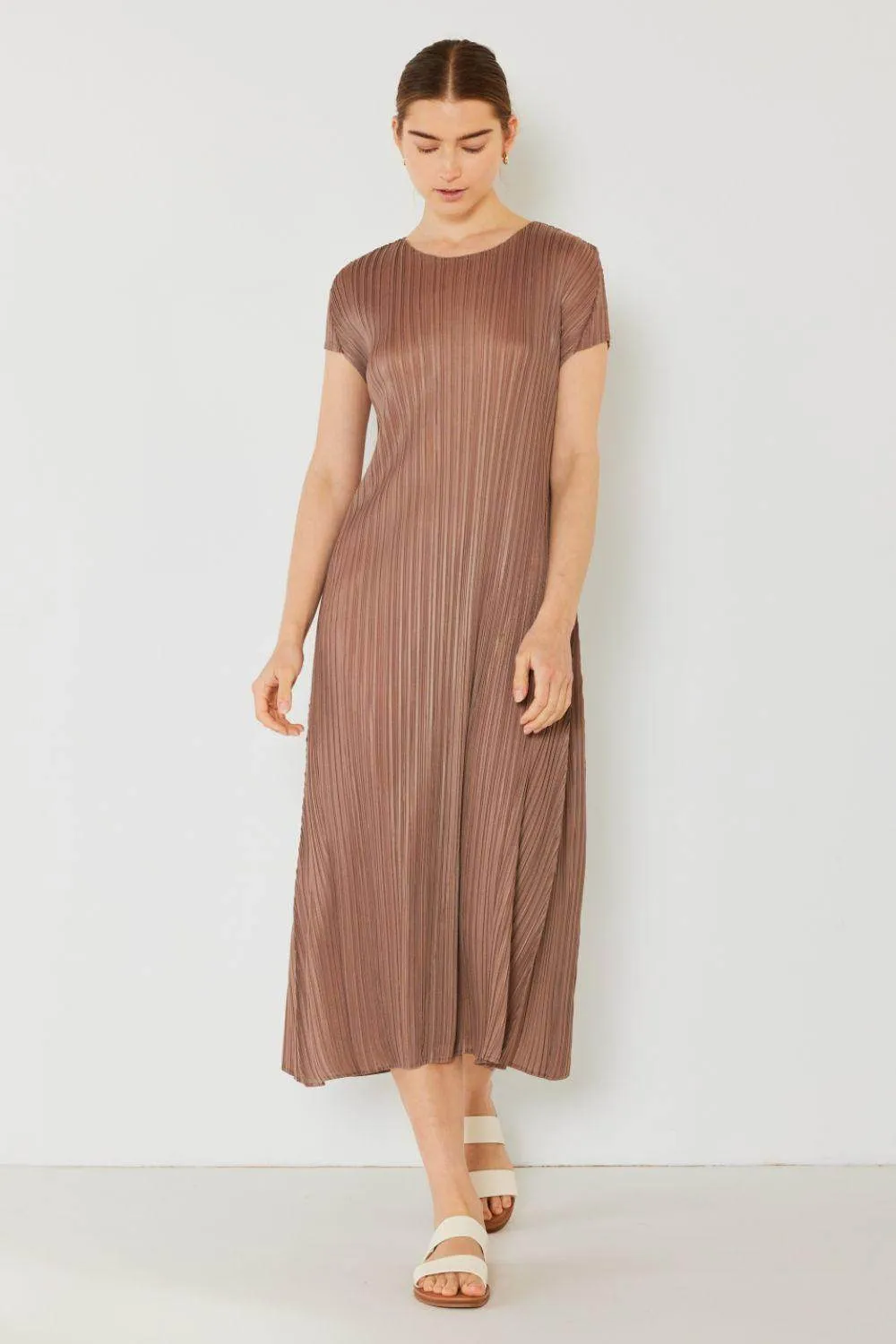 Pleated Cap Sleeve A-Line Dress